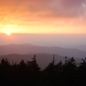 Meet your Posher, Brett